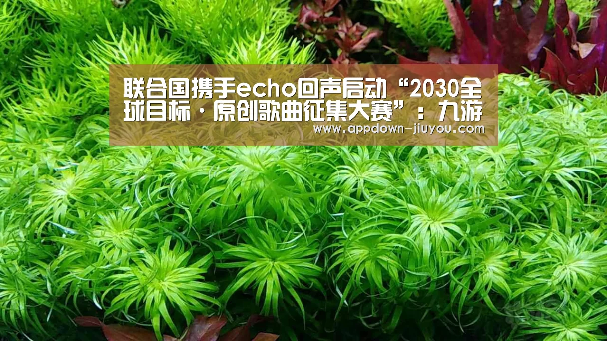 九游官网下载
